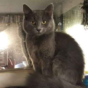 Meet your Posher, Blueneasydj